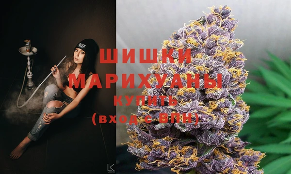 a pvp Бердск