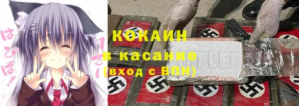 молекула духа Алзамай